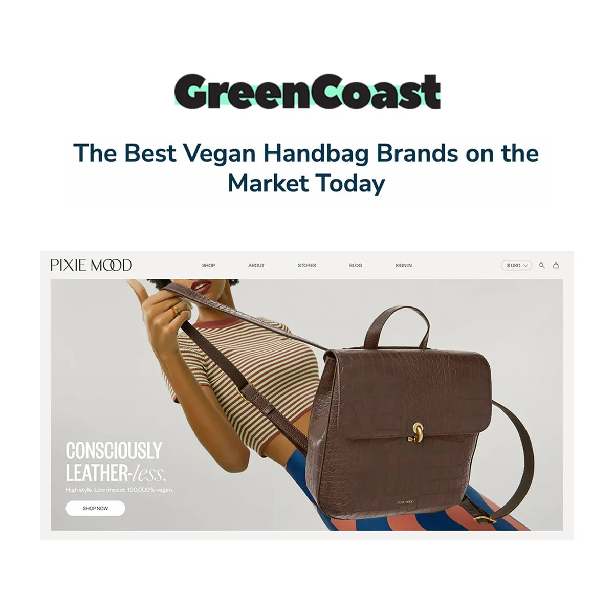 Eco-friendly fashion accessories